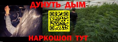 индика Нарткала