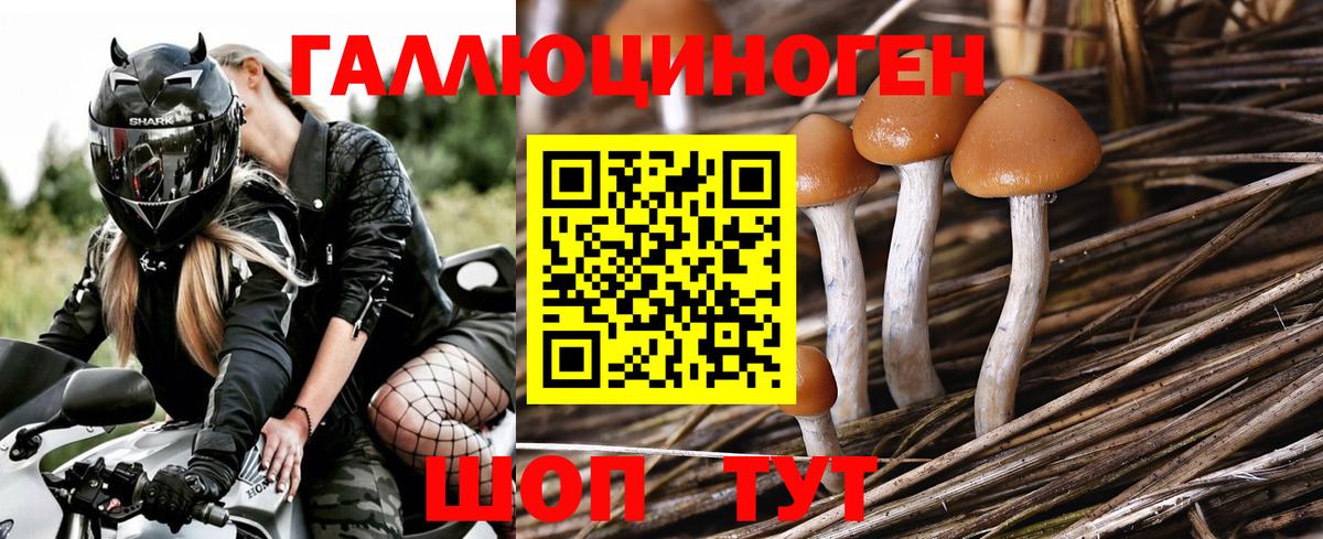 Псилоцибиновые грибы мухоморы  Вход с VPN  Волжский 
